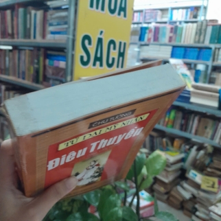 ĐIÊU THUYỀN - CHU TƯỜNG ( ÔNG VĂN TÙNG DỊCH)