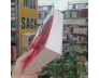 LOAN MẮT NHUNG - NGUYỄN THỤY LONG