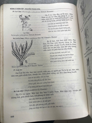 ĐÔNG Y TOÀN TẬP (BÌA CỨNG) - NGUYỄN TRUNG HOÀ