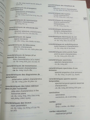 TỪ ĐIỂN THUẬT NGỮ VIỄN THÔNG PHÁP VIỆT ANH (BÌA CỨNG) - NGUYỄN HỮU VIỆN