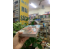 CẤM CUNG DIỄM SỬ - NGHI DÂN (ÔNG VĂN TÙNG DỊCH THUẬT)