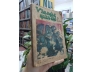 TẠP CHÍ VĂN NGHỆ QUÂN ĐỘI (6 SỐ NĂM 1988)