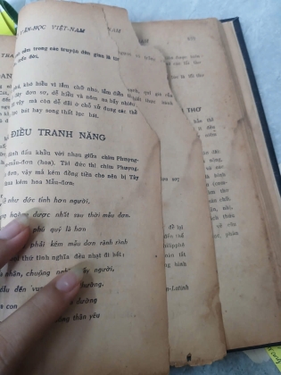 BẢNG LƯỢC ĐỒ VĂN HỌC VIỆT NAM - THANH LÃNG