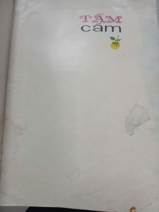 TẤM CÁM 