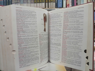 DORLAND'S ILLUSTRATED MEDICAL DICTIONARY - TỪ ĐIỂN Y HỌC CÓ HÌNH MINH HỌA CỦA DORLAND