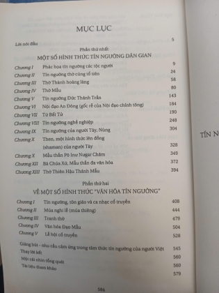 TÍN NGƯỠNG VÀ VĂN HÓA TÍN NGƯỠNG Ở VIỆT NAM - NGÔ ĐỨC THỊNH