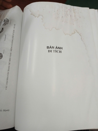 KHẢO CỔ HỌC NAM BỘ - BÙI CHÍ HOÀNG