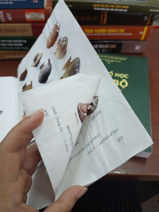KHẢO CỔ HỌC NAM BỘ - BÙI CHÍ HOÀNG