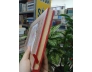 HOÀNG SA TRƯỜNG SA TRONG THƯ TỊCH CỔ (BÌA CỨNG) - ĐINH KIM PHÚC 