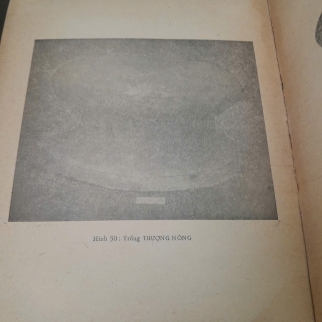 TRỐNG ĐÔNG SƠN - PHẠM MINH HUYỀN, NGUYỄN VĂN HUYÊN, TRỊNH SINH