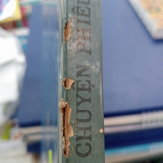 CHUYẾN PHIÊU LƯU CỦA MÍT ĐẶC VÀ CÁC BẠN - NI-CÔ-LAI NÔ-XỐP (NGƯỜI DỊCH: VŨ NGỌC BÌNH)