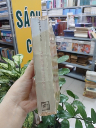 HƠN NỬA ĐỜI HƯ - VƯƠNG HỒNG SỂN