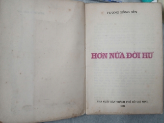 HƠN NỬA ĐỜI HƯ - VƯƠNG HỒNG SỂN