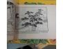 TÂY SƯƠNG KÝ 
