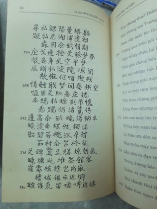 CHINH PHỤ NGÂM - ĐẶNG TRẦN CÔN, ĐOÀN THỊ ĐIỂM
