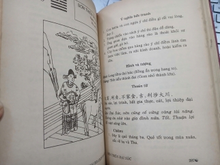 MAI HOA DỊCH TÂN BIÊN (BÌA CỨNG) - VƯU SÙNG HOA (DỊCH GIẢ: CAO HOÀN DIÊN KHÁNH)