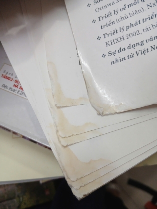 SỰ ĐA DẠNG VĂN HÓA VÀ ĐỐI THOẠI GIỮA CÁC NỀN VĂN MINH - PHẠM XUÂN NAM