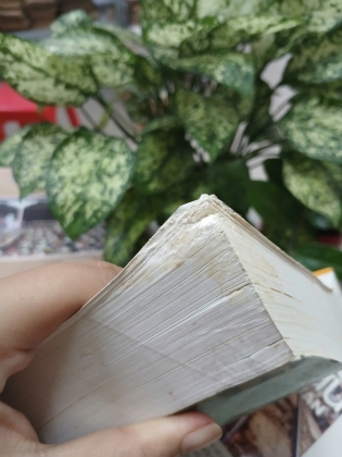 SỰ ĐA DẠNG VĂN HÓA VÀ ĐỐI THOẠI GIỮA CÁC NỀN VĂN MINH - PHẠM XUÂN NAM