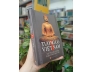 TƯỢNG CỔ VIỆT NAM VỚI TRUYỀN THỐNG ĐIÊU KHÁC DÂN TỘC - CHU QUANG TRỨ