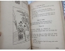 MAI HOA DỊCH TÂN BIÊN (BÌA CỨNG) - VƯU SÙNG HOA (DỊCH GIẢ: CAO HOÀN DIÊN KHÁNH)