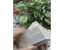 SỰ ĐA DẠNG VĂN HÓA VÀ ĐỐI THOẠI GIỮA CÁC NỀN VĂN MINH - PHẠM XUÂN NAM