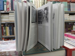 LỊCH SỬ MỸ THUẬT VIỄN ĐÔNG - SHERMAN E. LEE