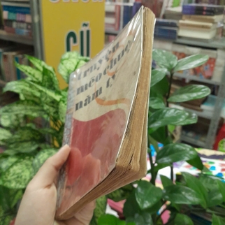 TRUYỆN MÈO CHUỘT NĂM TÝ 