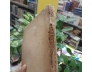 LÊ TRIỀU LỊCH KHOA TIẾN SĨ ĐỀ DANH BI KỶ 