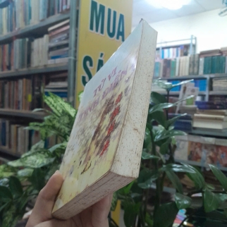 TỬ VI TINH ĐIỂN - VŨ TÀI LỤC