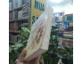 TỬ VI TINH ĐIỂN - VŨ TÀI LỤC