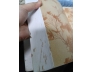 TÁC PHẨM ĐƯỢC TẶNG GIẢI THƯỞNG HỒ CHÍ MINH - CAO HUY ĐỈNH