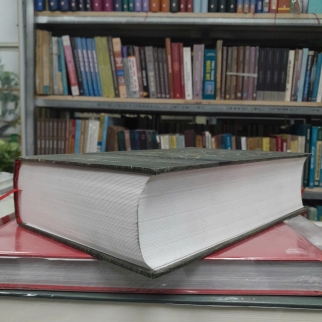 SỰ TRỖI DẬY VÀ SUY TÀN CỦA ĐẾ CHẾ THỨ BA - WILLIAM L.SHIRER ( DIỆP MINH TÂM DỊCH)