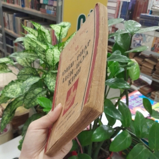 DIỆU PHÁP LIÊN HOA KINH - ĐOÀN TRUNG CÒN