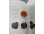 THE NEW TEA COMPANION (BÌA CỨNG) - JANE PETTIGREW, BRUCE RICHARDSON