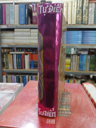 VIỆT NAM TỰ ĐIỂN 