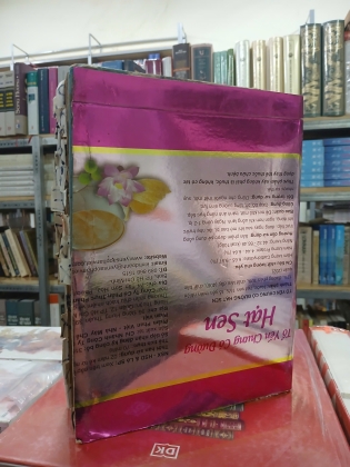 VIỆT NAM TỰ ĐIỂN 