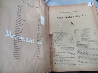 VIỆT NAM TỰ ĐIỂN 