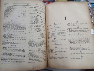 VIỆT NAM TỰ ĐIỂN 
