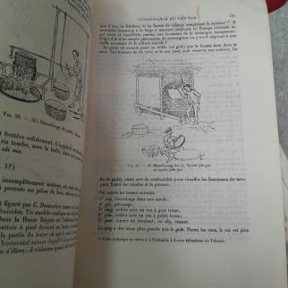 CONNAISSANCE DU VIỆT NAM - PIERRE HUARD, MAURICE DURAND 