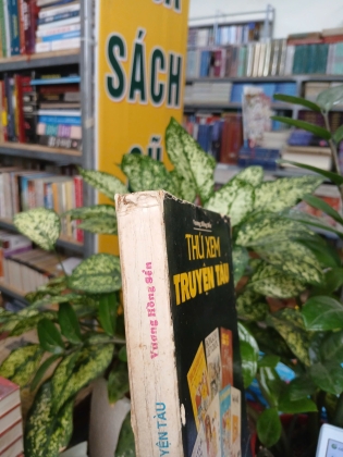 THÚ XEM TRUYỆN TÀU - VƯƠNG HỒNG SỂN