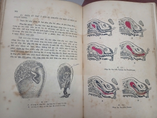 SẢN KHOA - BÁC SĨ ĐẶNG HÓA LONG