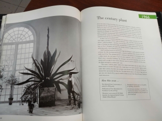 A CENTURY IN PHOTOGRAPHS GARDENING 1900 - 2000 (BÌA CỨNG) - MARK GRIFFITHS 