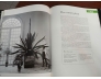 A CENTURY IN PHOTOGRAPHS GARDENING 1900 - 2000 (BÌA CỨNG) - MARK GRIFFITHS 