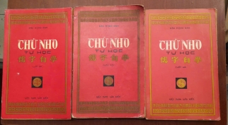 CHỮ NHO TỰ HỌC 1, 2 & 3 - ĐÀO MỘNG NAM