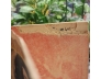 PHỔ THÔNG - SỐ 96