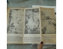 THIỀN LUẬN ( BỘ TRUNG) - D. T. SUZUKI ( TUỆ SỸ DỊCH)