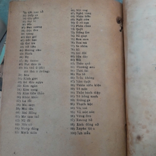 NHỮNG KINH NGHIỆM HAY VÀ 100 CÂY THUỐC QUÝ - VÕ BÁ LỘNG 