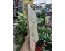 LỤC VÂN TIÊN - ĐỒ CHIỂU