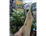 NHỊ THẬP TỨ HIẾU - LÝ VĂN PHỨC