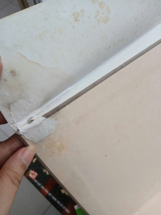 TRANH SƠN DẦU VIỆT NAM (BÌA CỨNG)